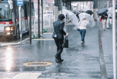 台風ｓ