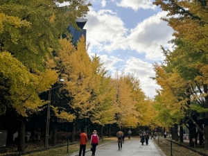31201039_s