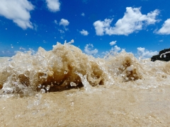 海海