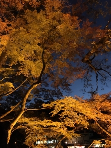 ララ１