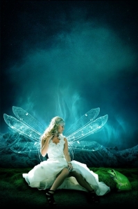 fairy